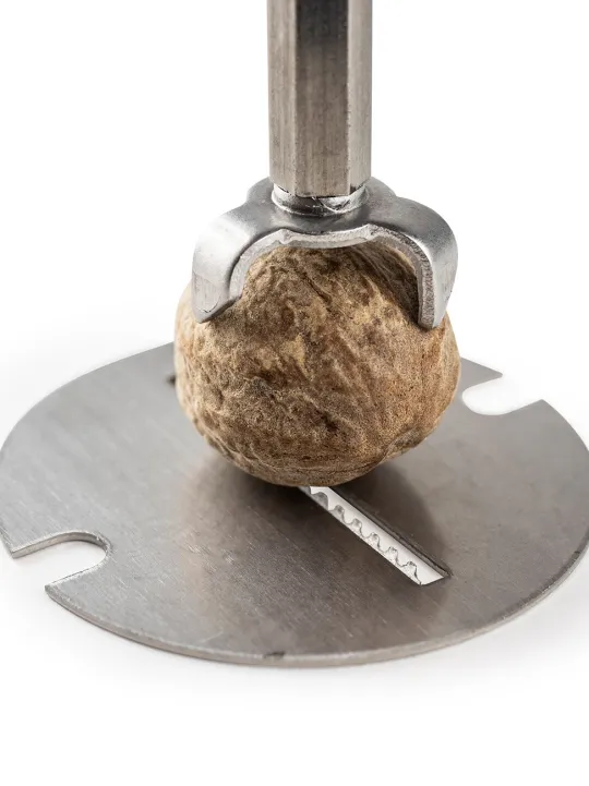 Shop Daman Manual nutmeg mill in stainless steel and acrylic with magnetic cover 15cm For The Foodie | Speciality Spice Mills