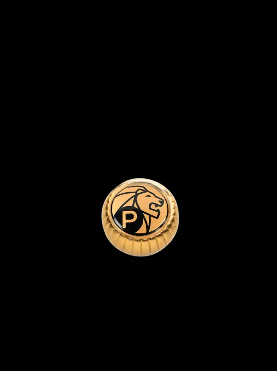 Best Jewel button Matt golden button for pepper mills Spice Mill Accessories